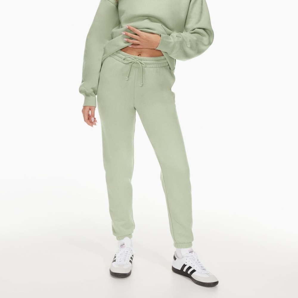 Aritzia Cozy Fleece Perfect Sweatpants